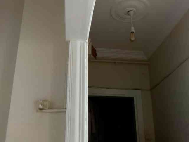 ANDREX1X