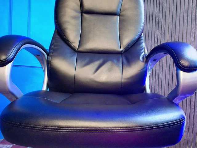 danteestarlink live cam
