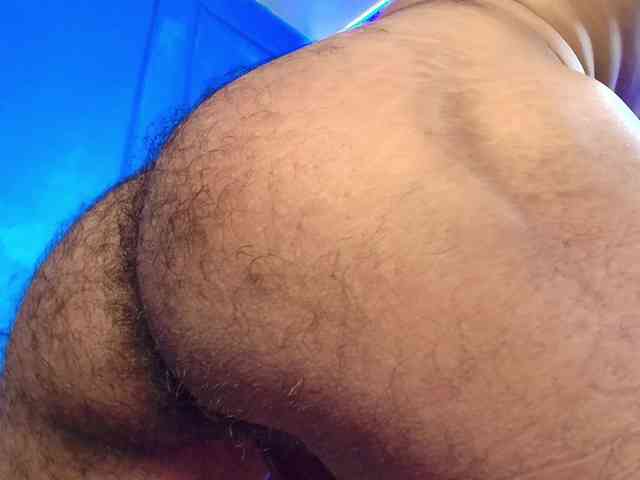 danteestarlink