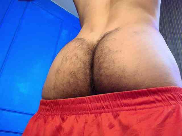 danteestarlink