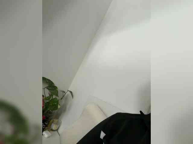 TetiBb webcam