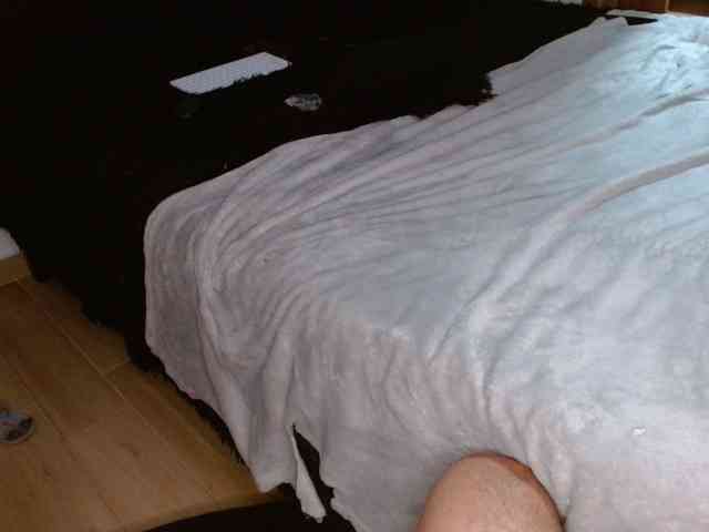 Catalina7641 webcam