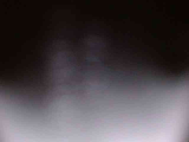 Catalina7641 webcam
