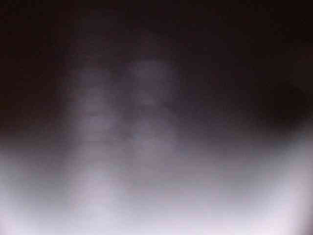 Catalina7641 webcam