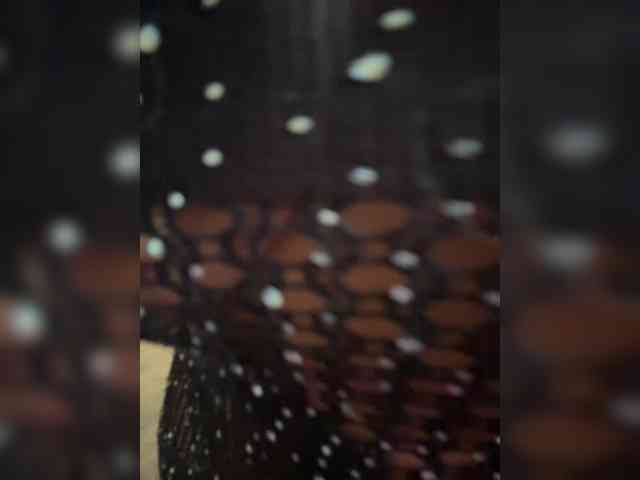 CarolinaHerrera webcam