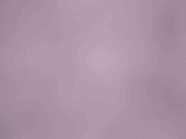 TessDreamy webcam