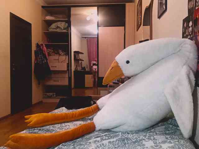ThanhMetzel webcam
