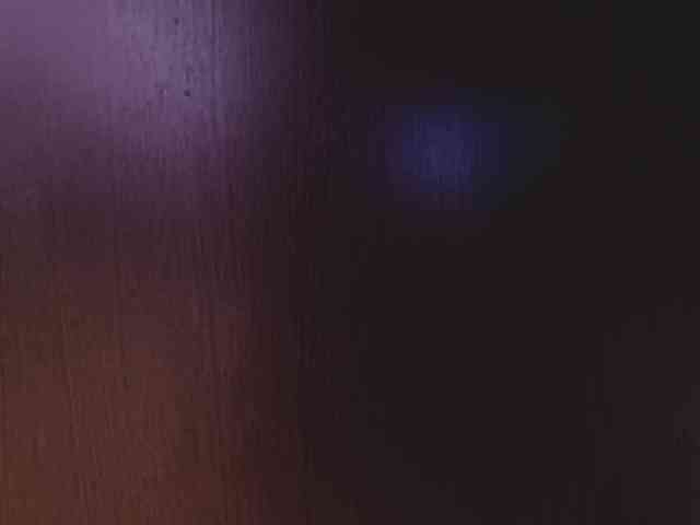 ThanhMetzel webcam