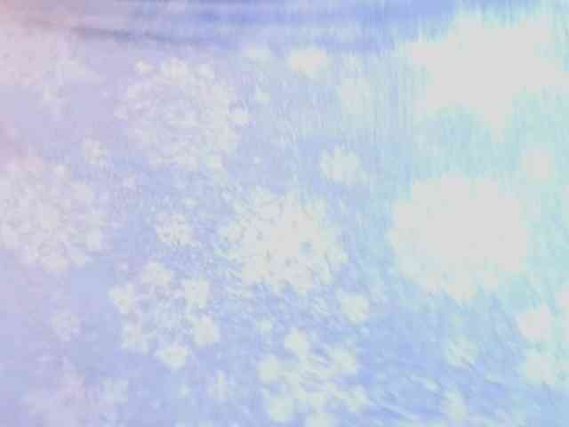 mia-jons2 webcam