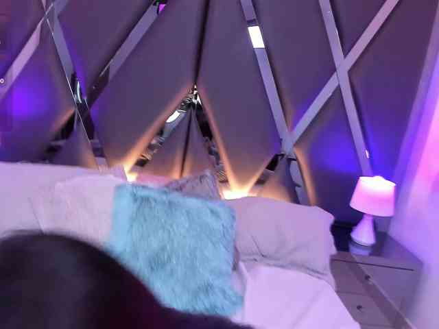 HoneyWoods webcam