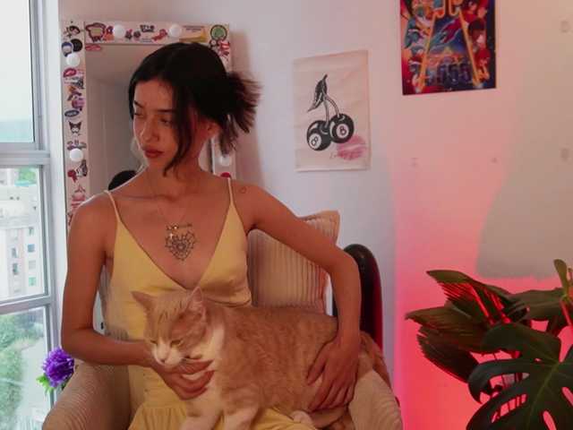 ahricherry live cam on BongaCams