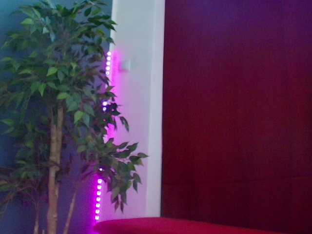NikyStyris live cam on BongaCams