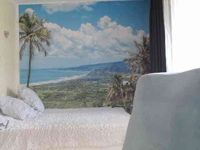 soaring-love webcam