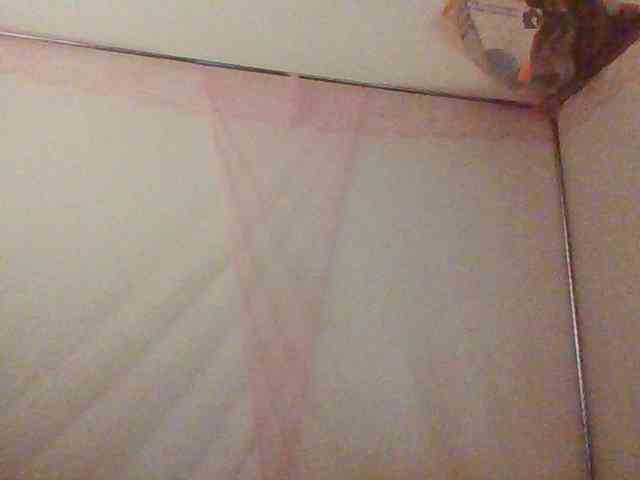 prettybree88 prettybree88