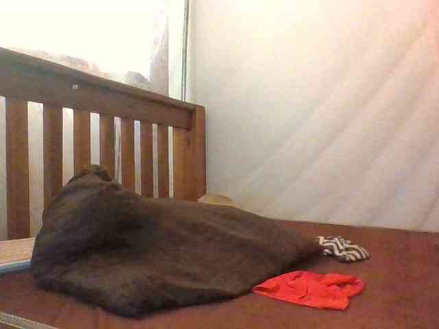 prettybree88 prettybree88