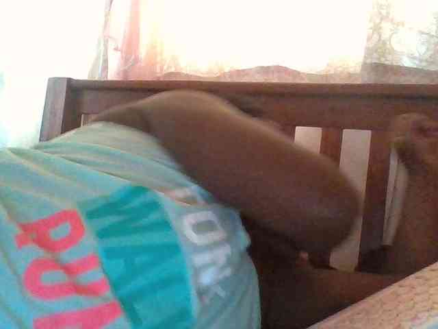 prettybree88 webcam
