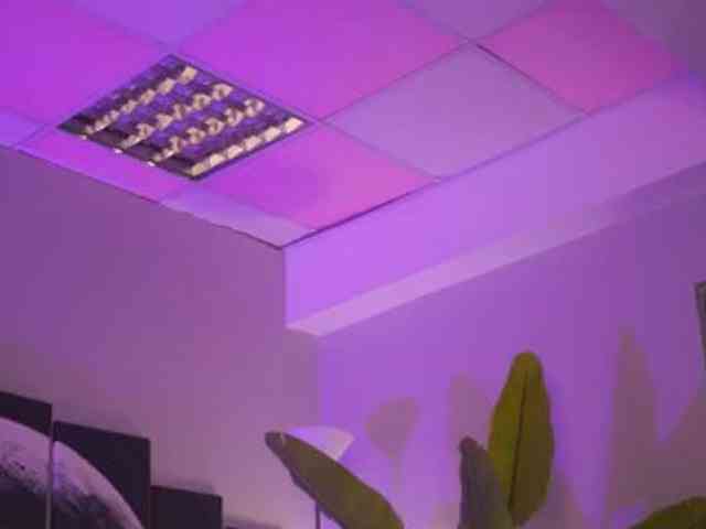 Palomadelmar's live stream