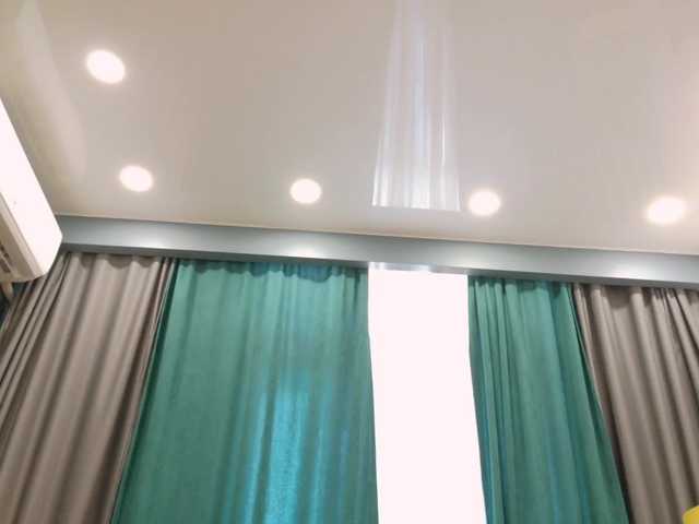 plumhaze live cam