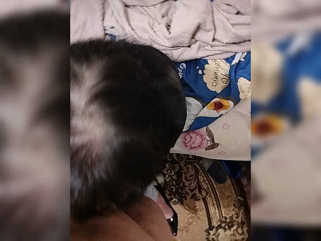 KUSandKUSIA live cam preview