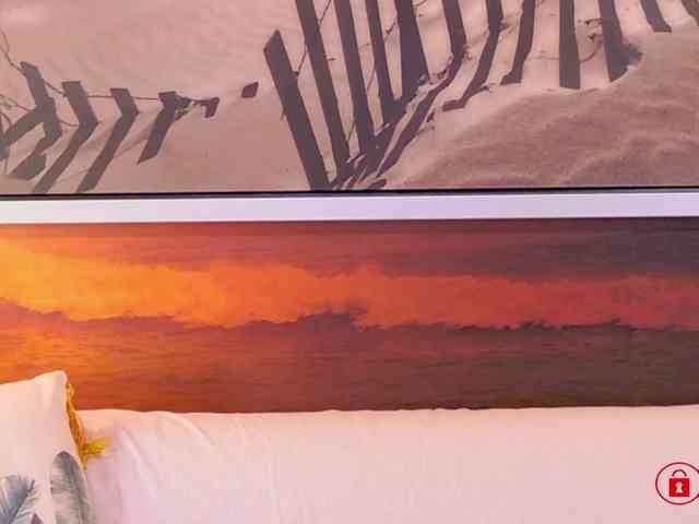 EVEFOX webcam