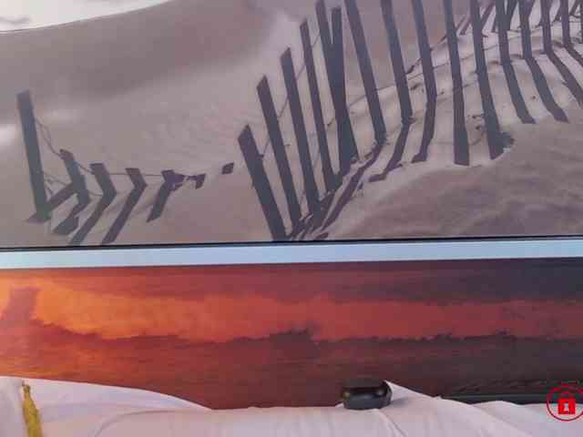 EVEFOX webcam