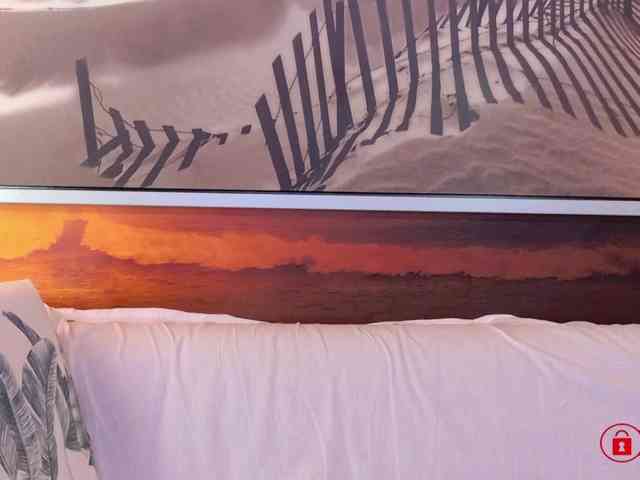 EVEFOX webcam