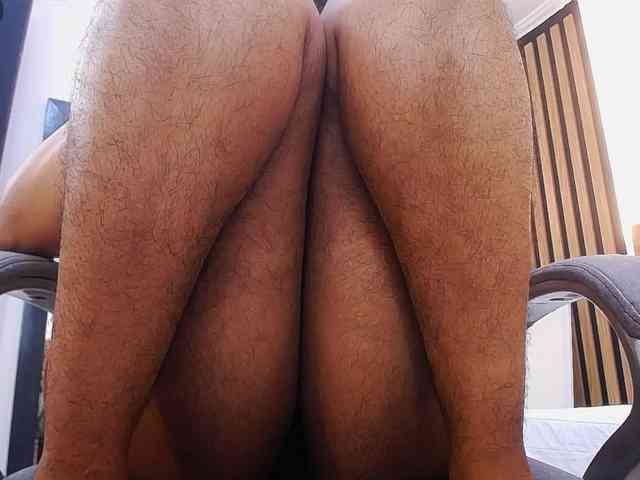Modelo: alexaforbes