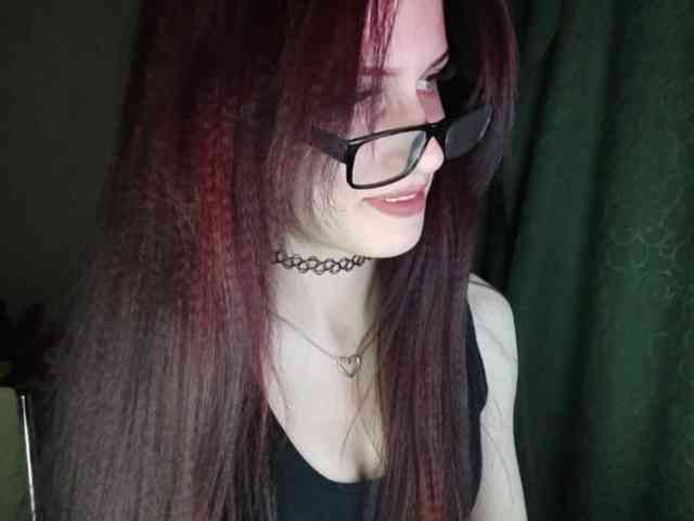 Kissaieksis webcam