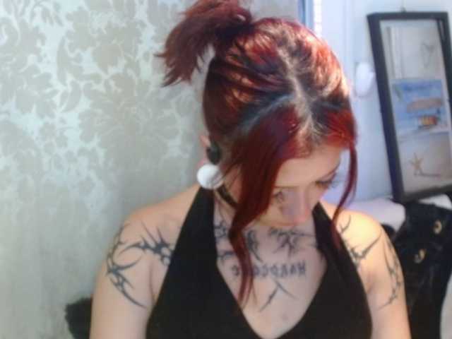 evanslx online