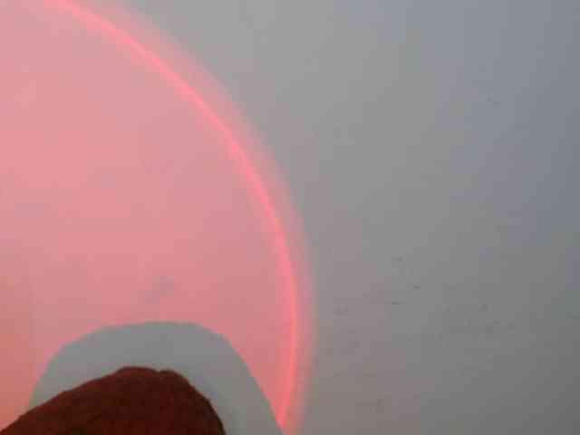 EvansLx webcam