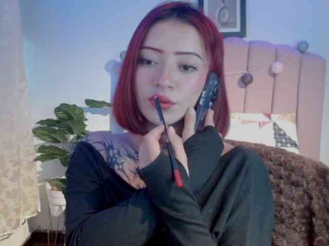 EvansLx webcam