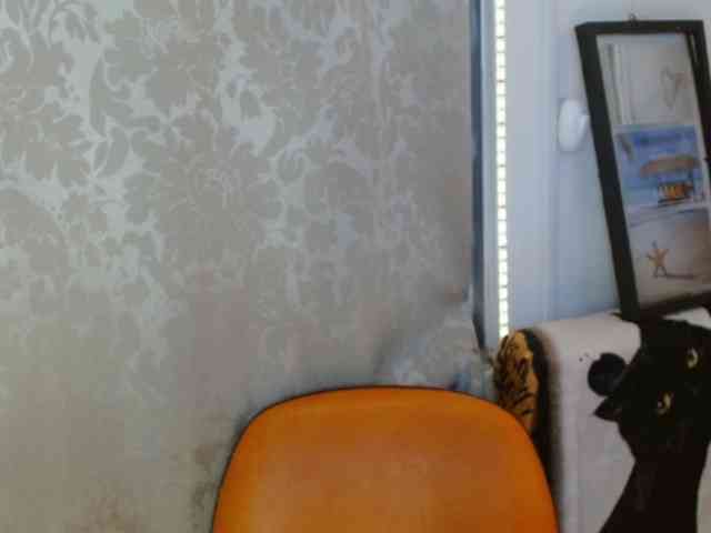 EvansLx webcam