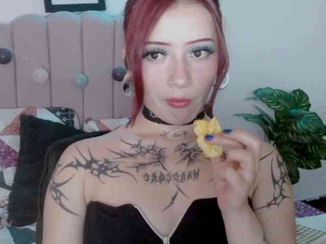EvansLx webcam