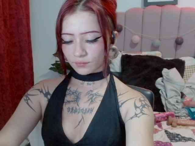 EvansLx webcam