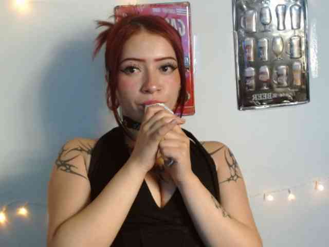 EvansLx webcam