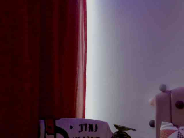 EvansLx webcam
