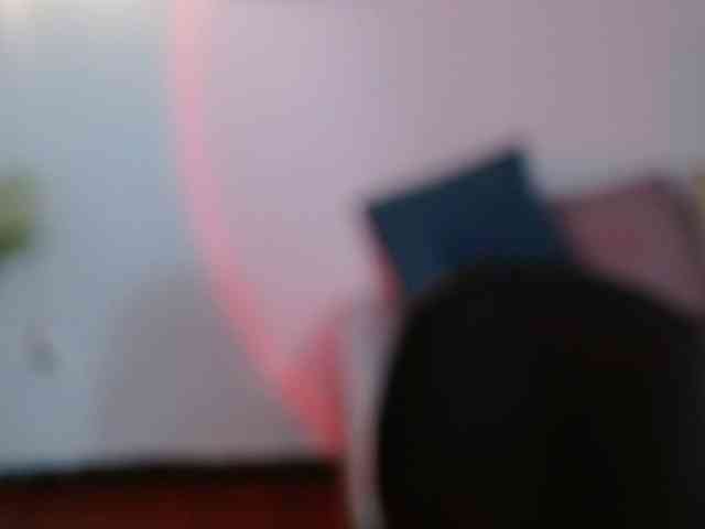 EvansLx webcam