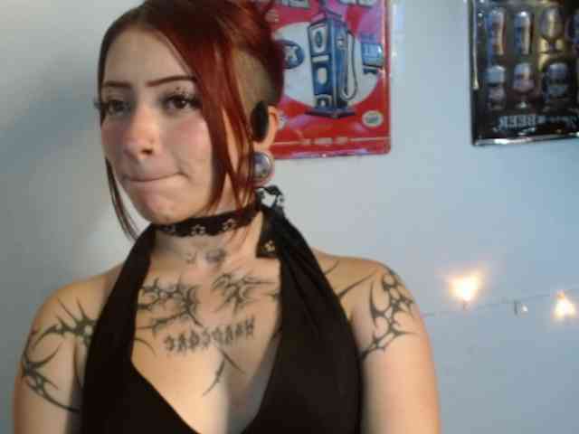 EvansLx webcam