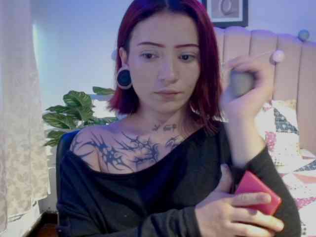 EvansLx webcam