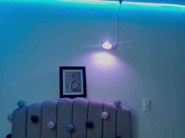 EvansLx webcam