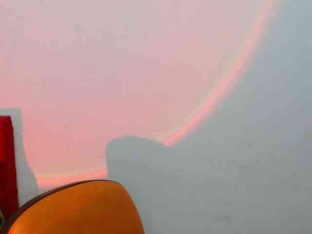 EvansLx webcam