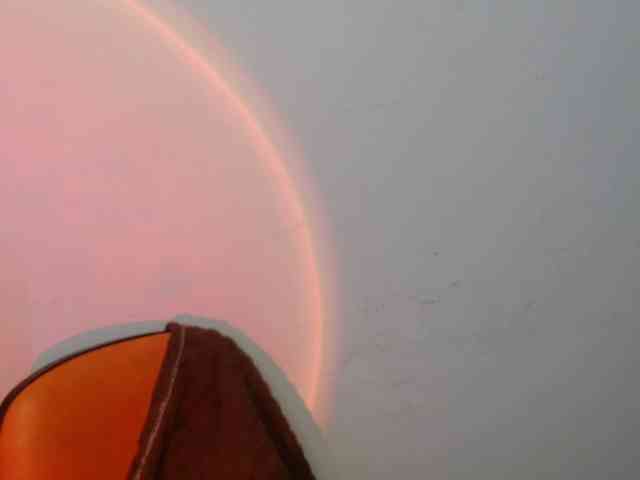 EvansLx webcam