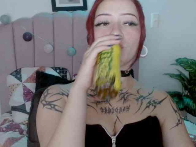 EvansLx webcam