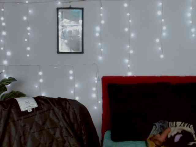 EvansLx webcam