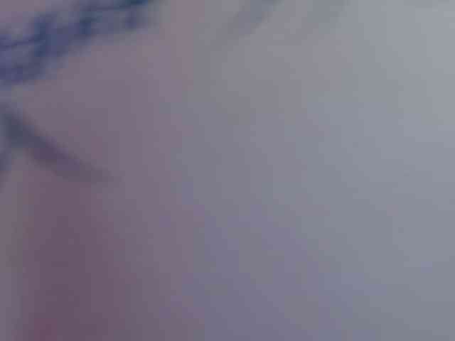 EvansLx webcam