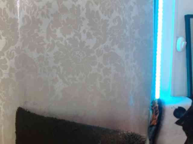 EvansLx webcam