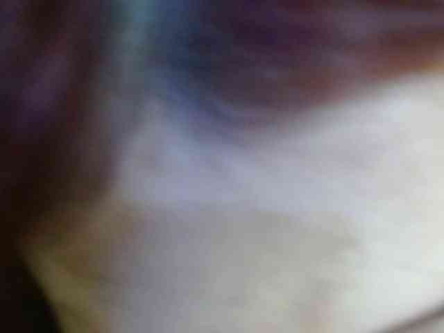 EvansLx webcam
