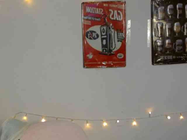 EvansLx webcam