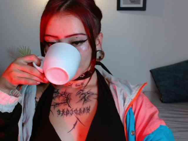 EvansLx webcam