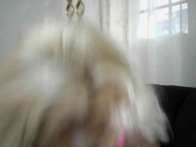QueenB2 webcam